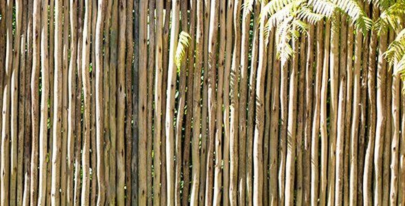 simple eucalyptus fencing