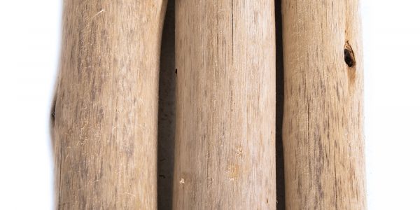 close up of eucalyptus poles