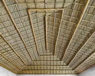 Tonkin Bamboo Poles - Image 3