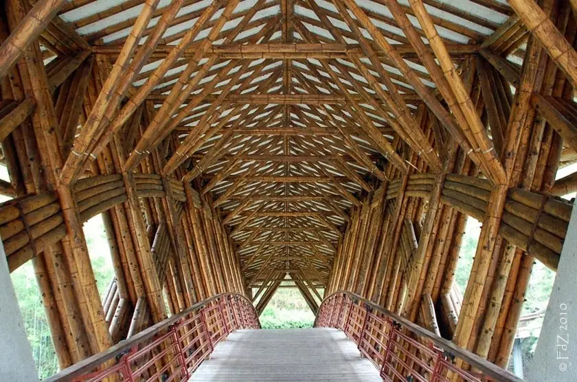 Guadua bamboo poles bridge