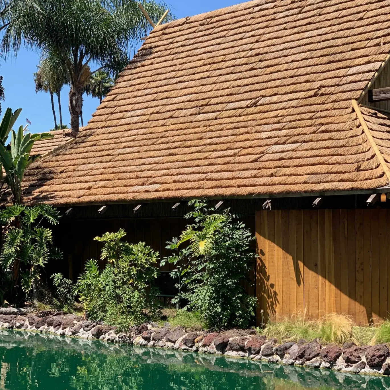 African Reed Thatch - Image 2