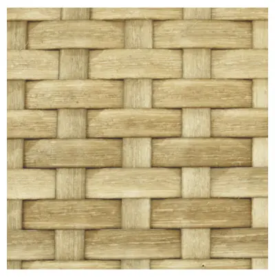 virosurface basket weave