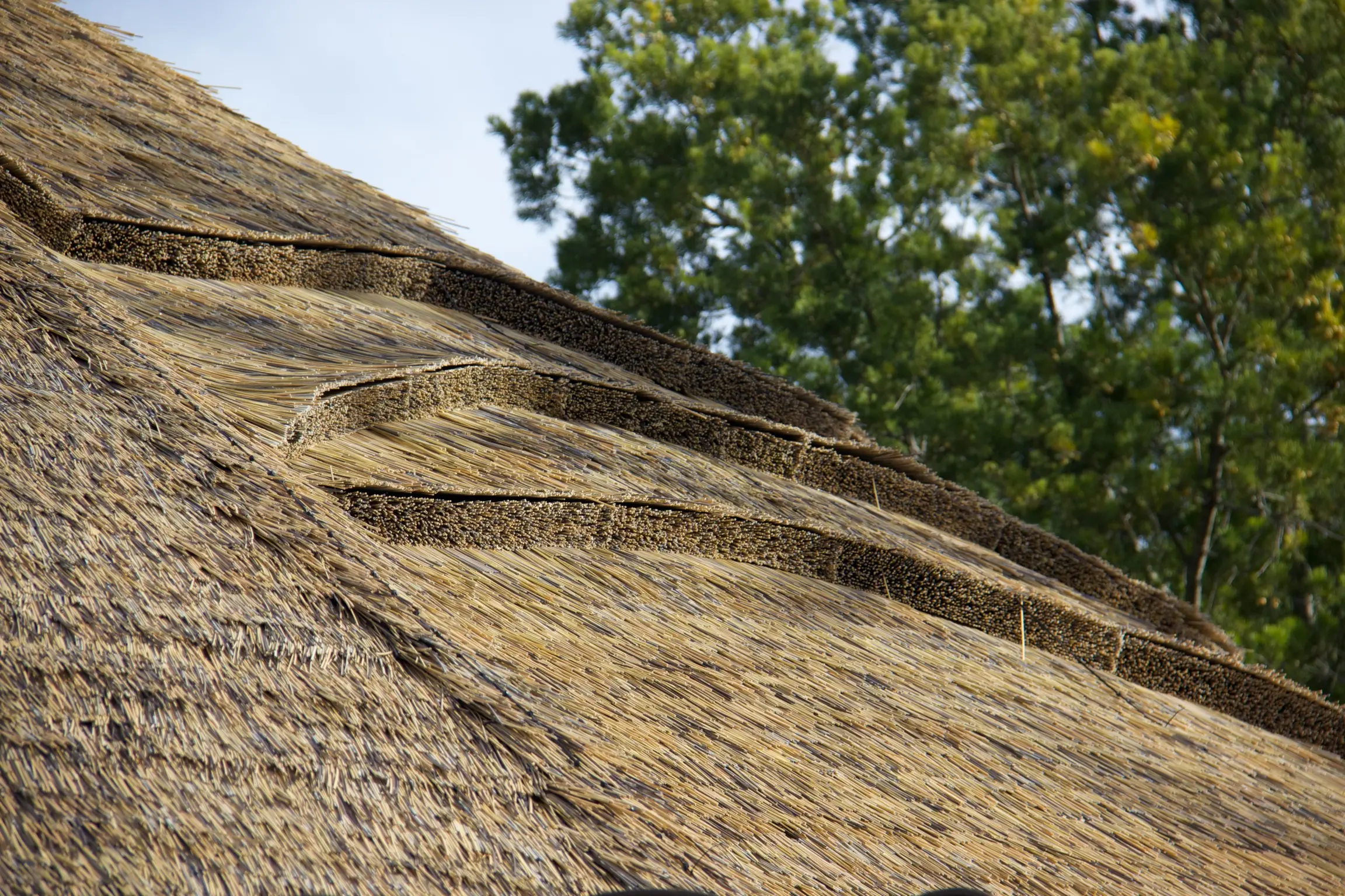 close up of viro sub reed and eave wads