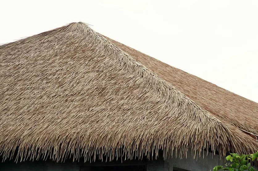 viro bali thatch panels on a roof