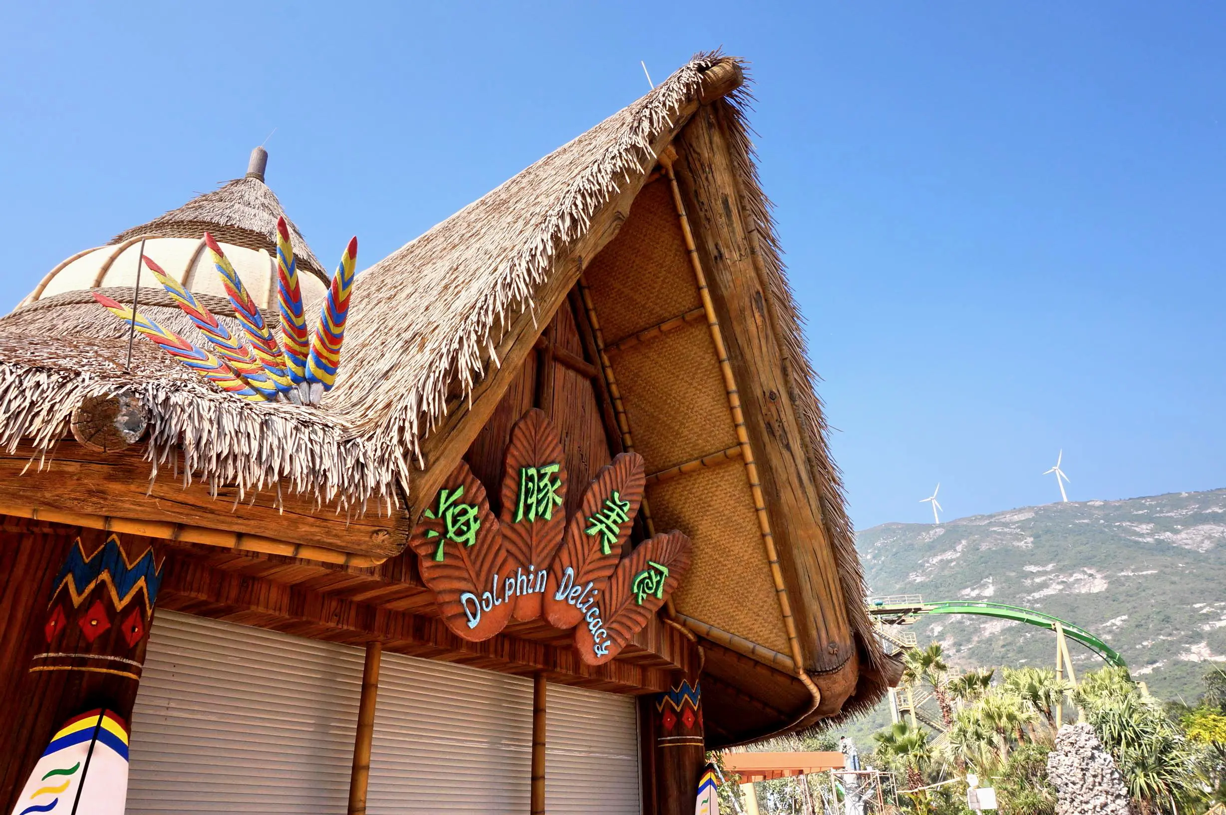 thatch on a commercial building roof