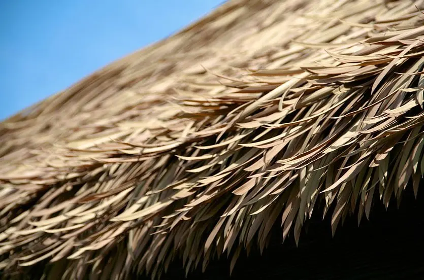 viro thatch roof
