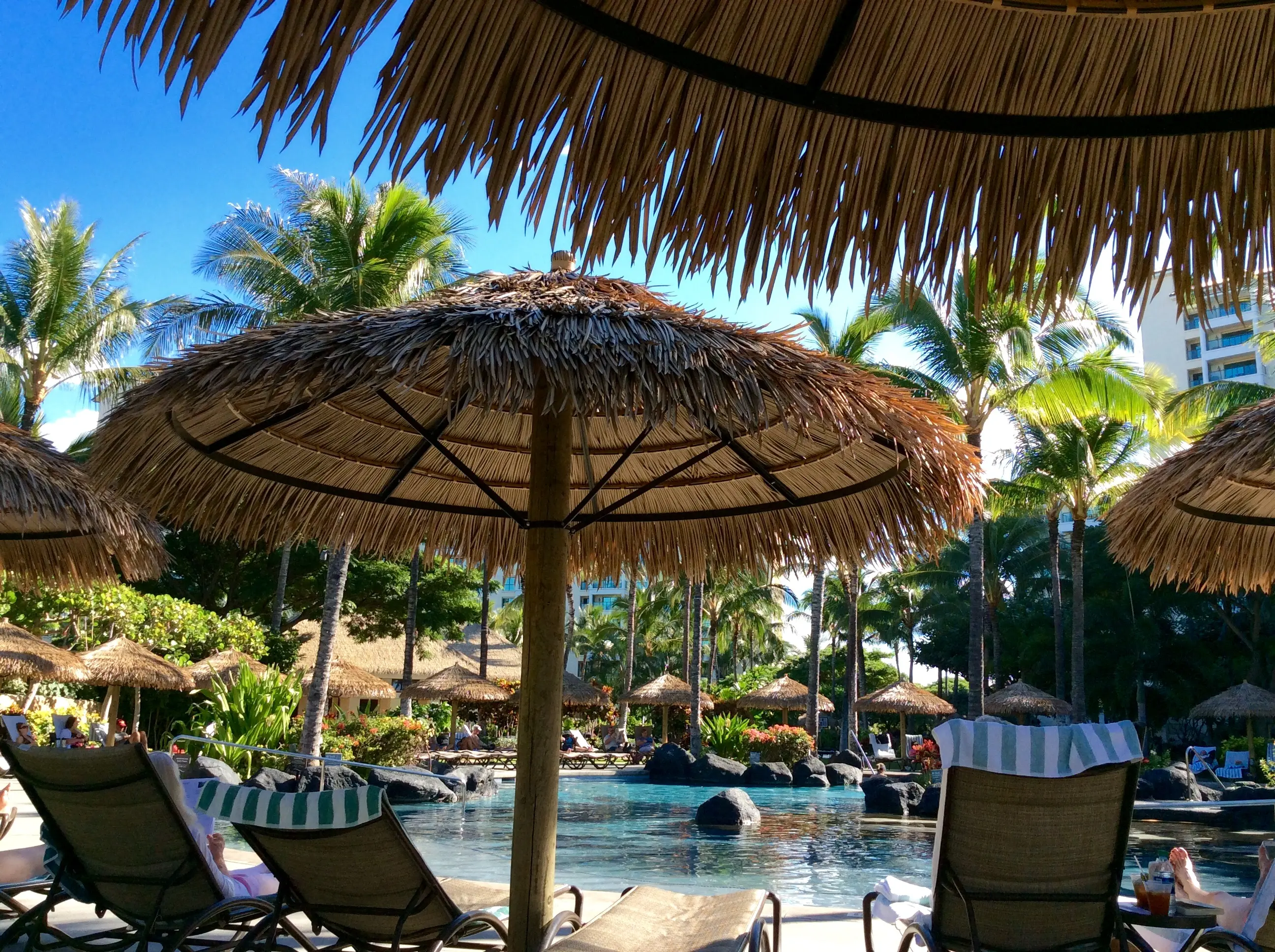 thatch umbrellas beside a resort pool