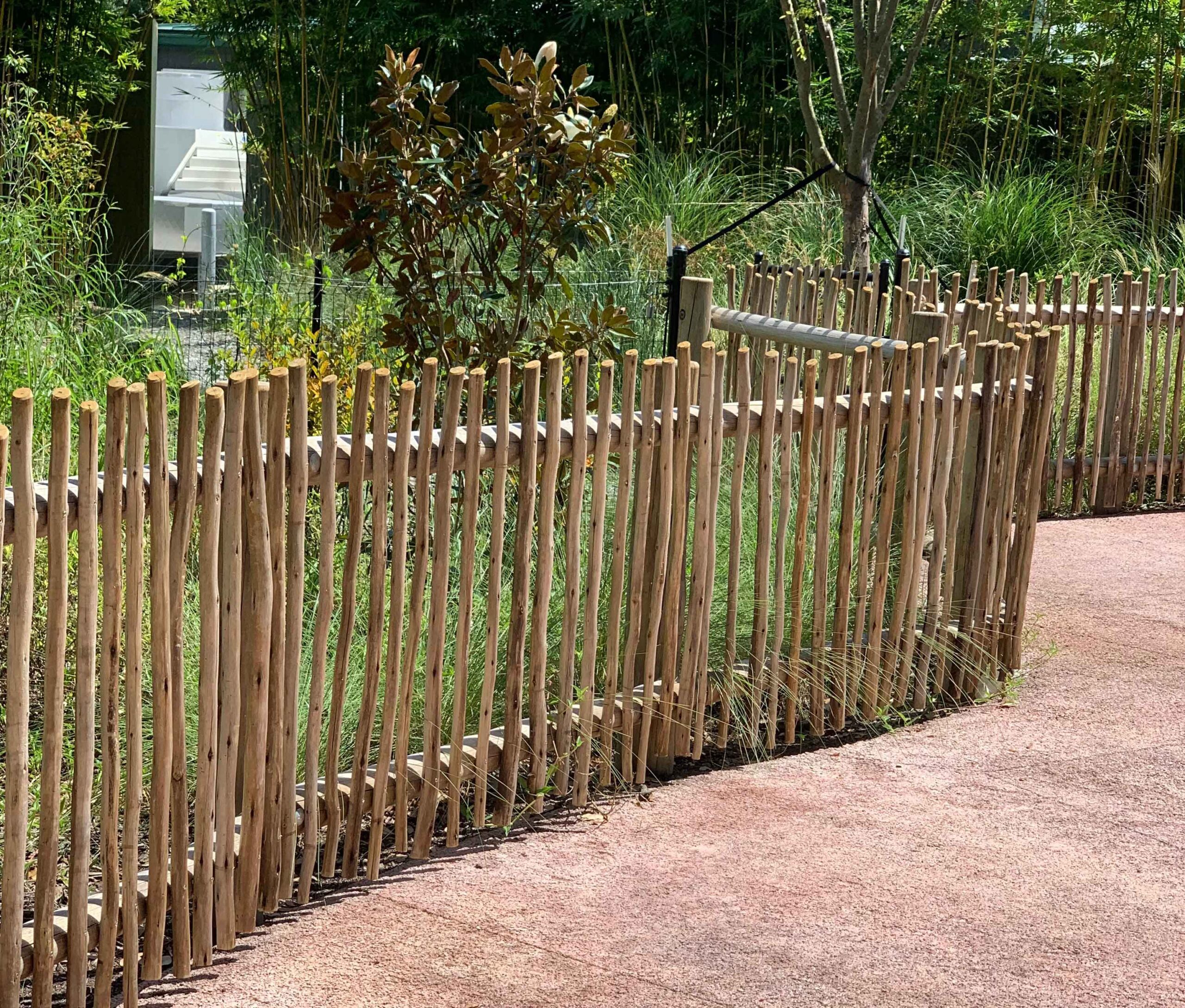 eucalyptus poles and fencing