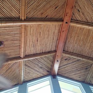 Ceiling Treatments & Panels - poles