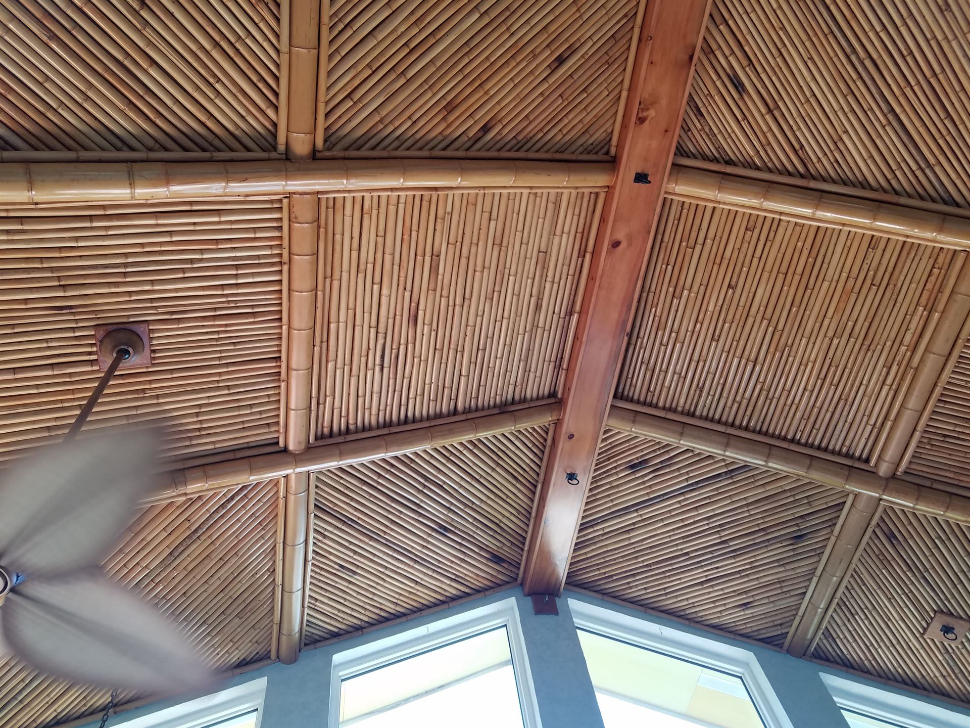 Ceiling Treatments & Panels - poles