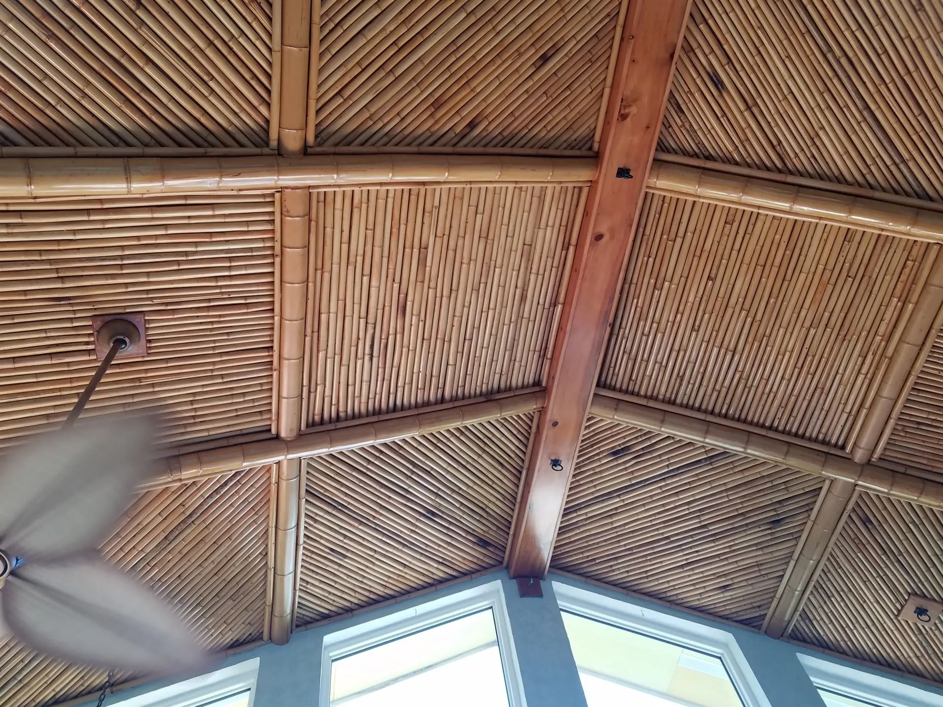 Ceiling Treatments & Panels - poles